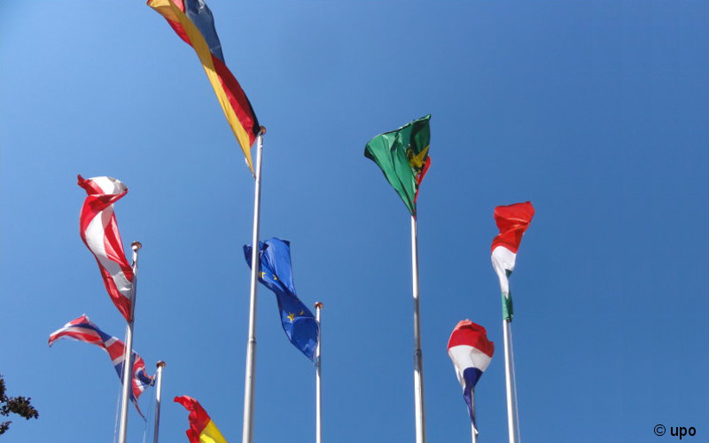 Suche nach Spitzenkräften international