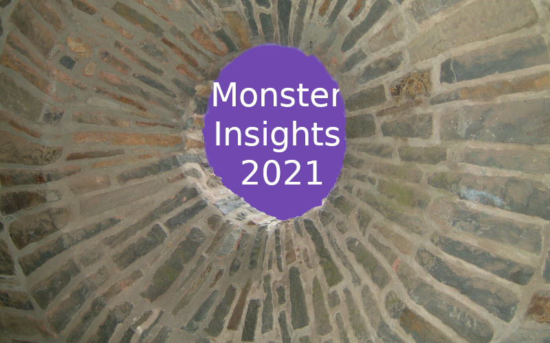 Monster Insights 2021